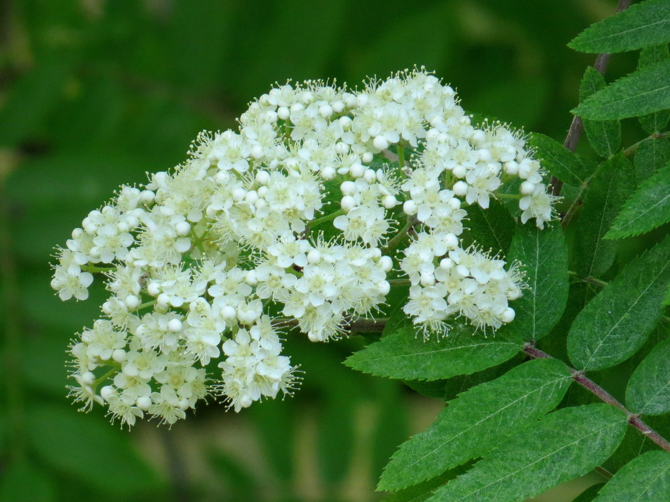 Valokuvaaja: Jaana Talvinen