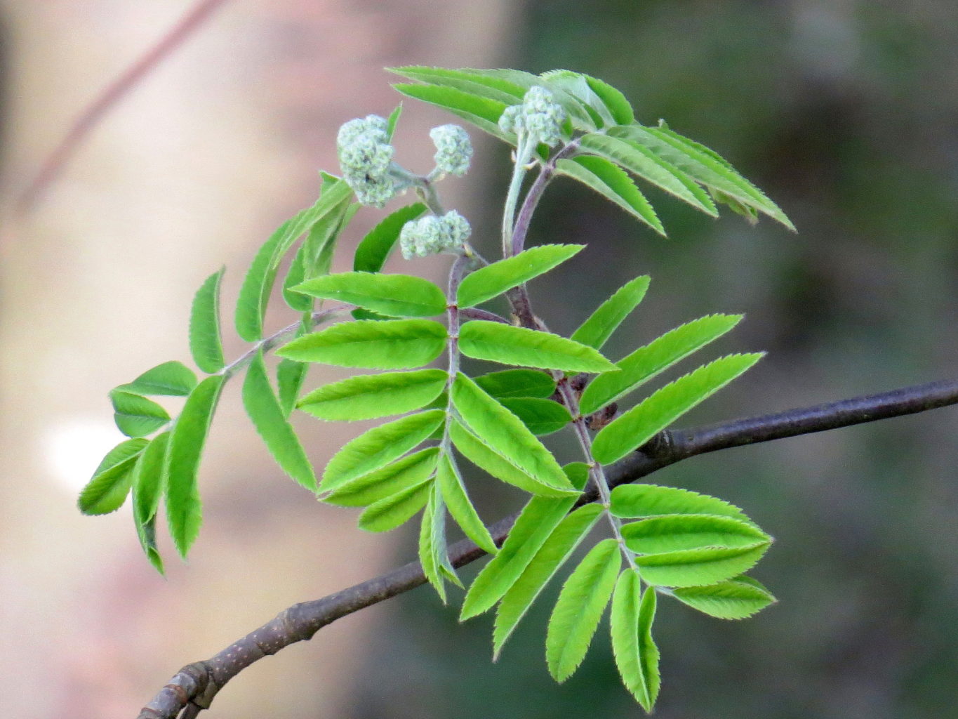 Valokuvaaja: Jaana Talvinen