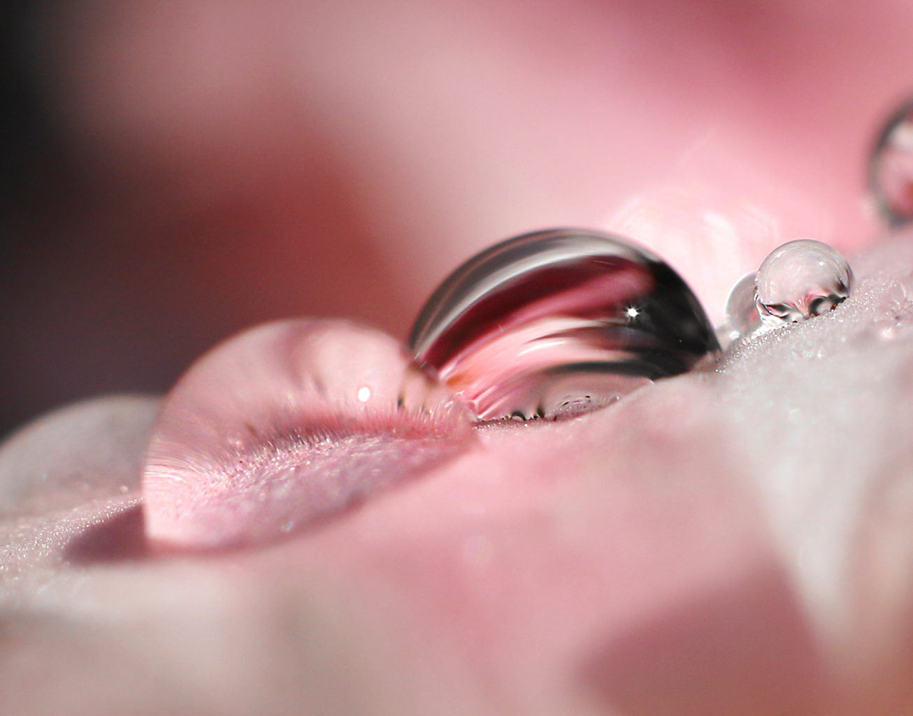 Valokuvaaja: Tarja Porkkala