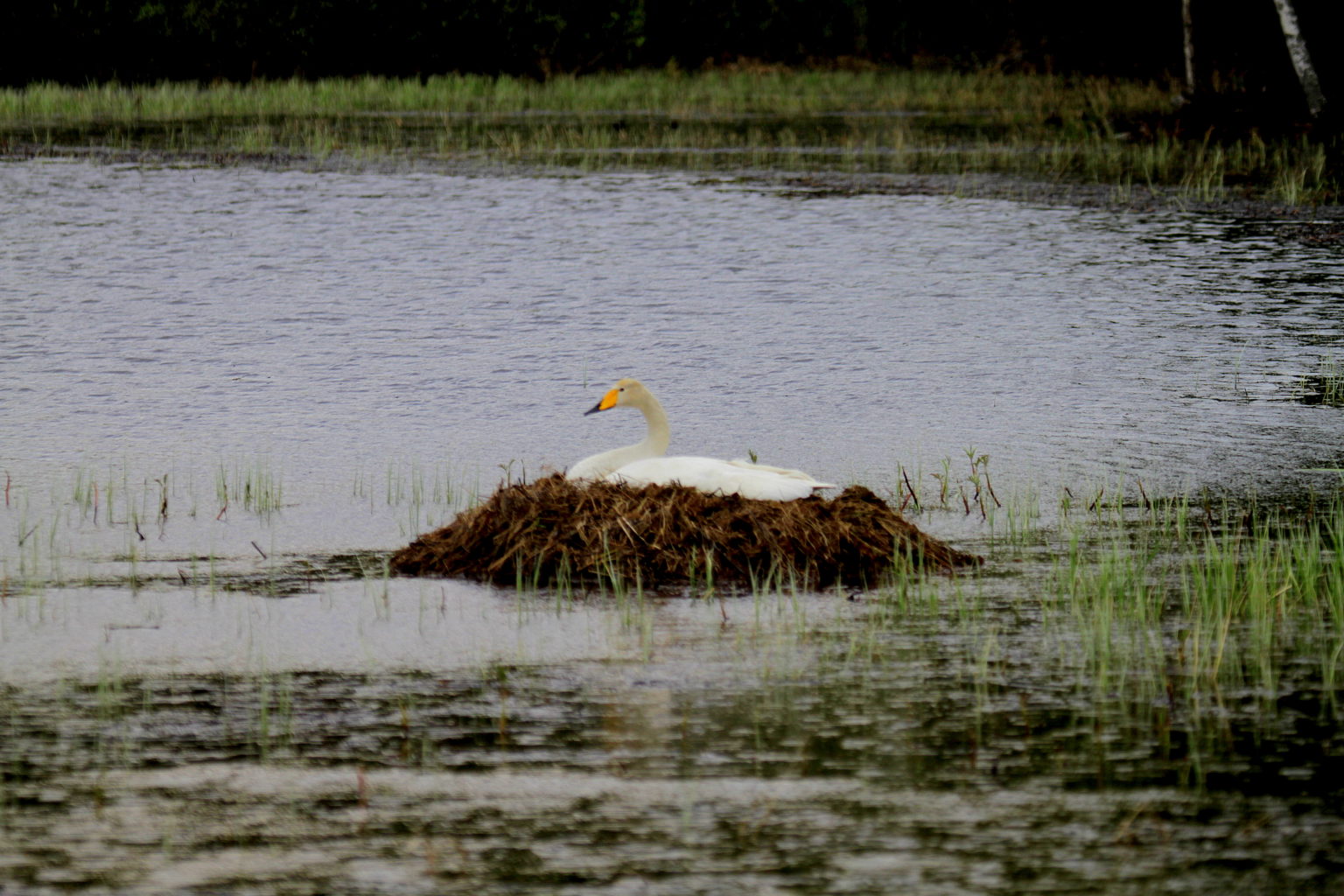 Valokuvaaja: Sirpa Jyske
