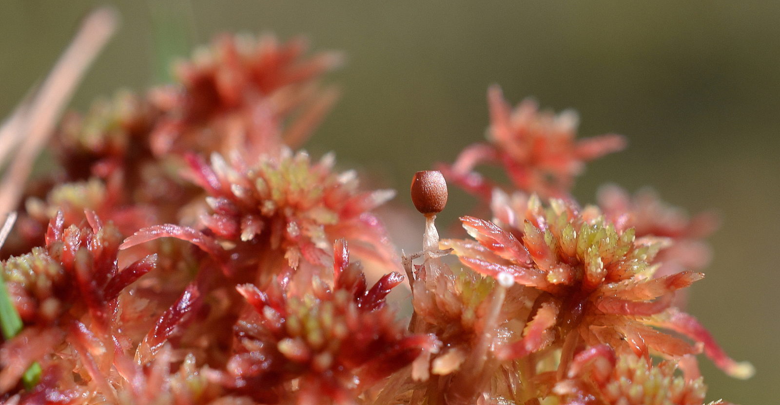 Valokuvaaja: Seija Annala