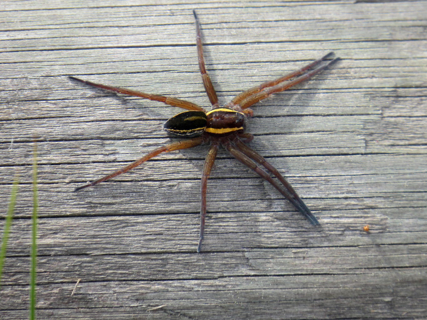 Valokuvaaja: Jaana Talvinen