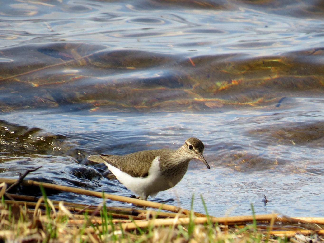 Valokuvaaja: Jaana Talvinen