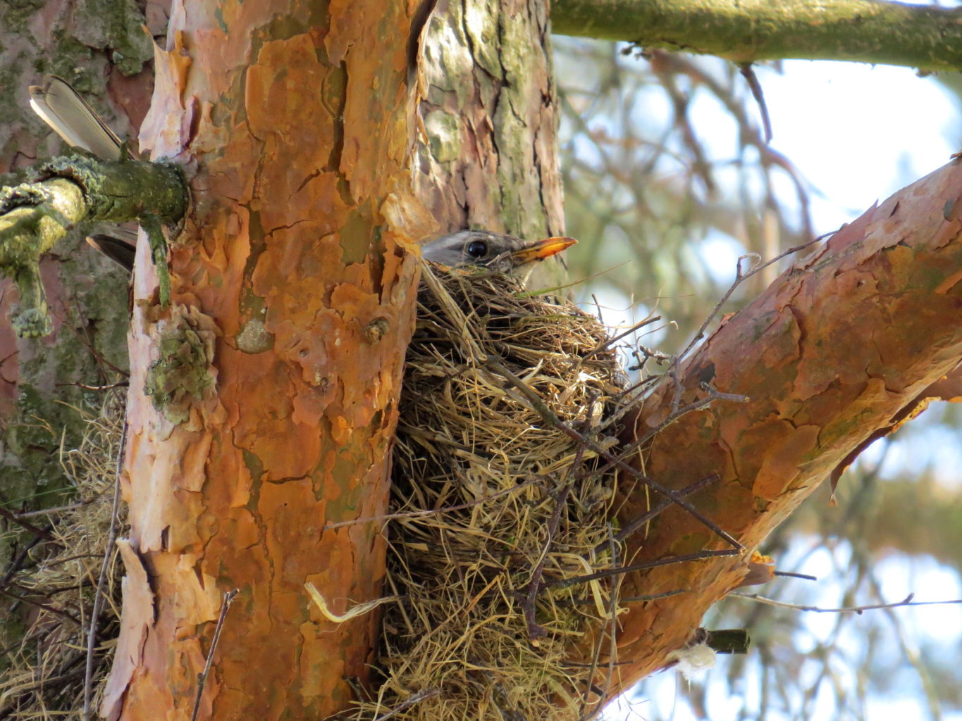 Valokuvaaja: Jaana Talvinen