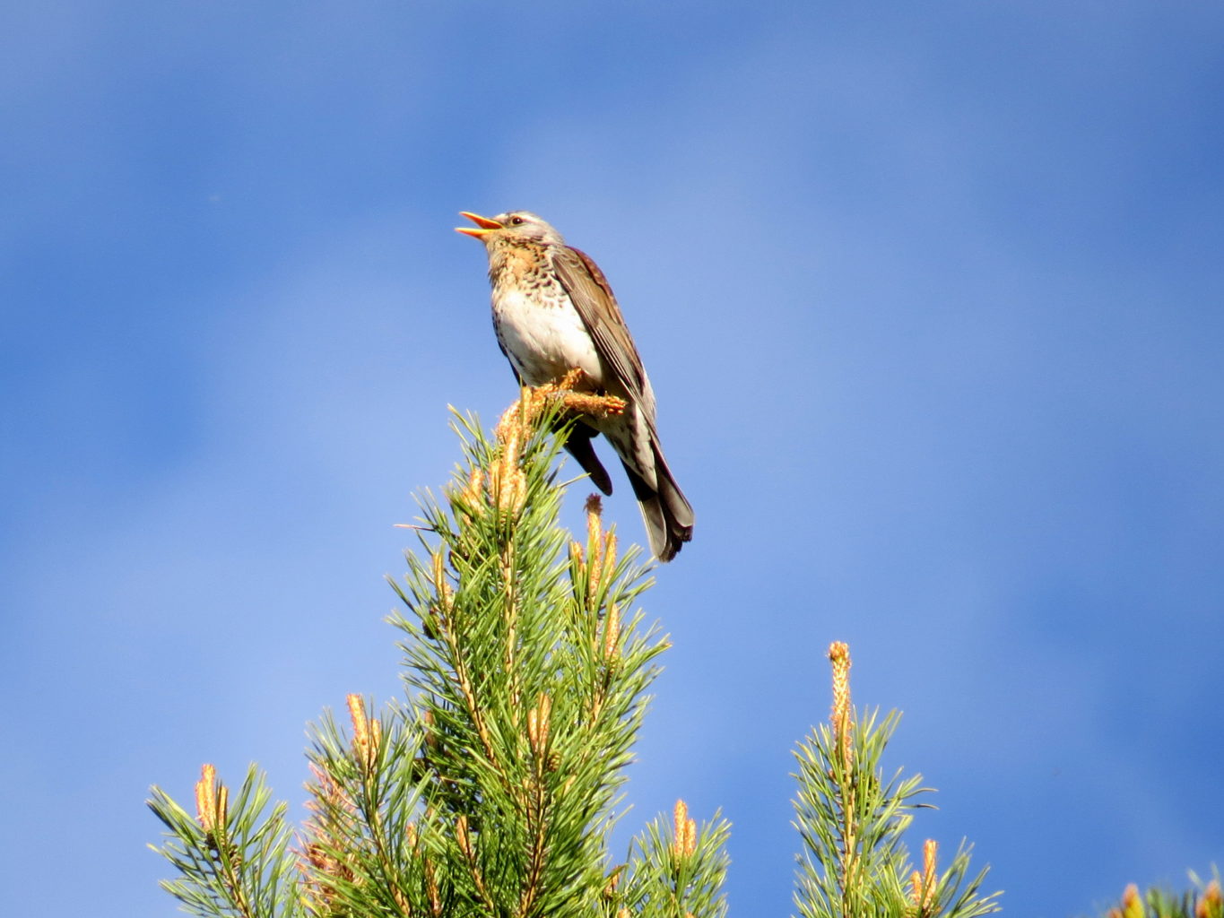 Valokuvaaja: Jaana Talvinen