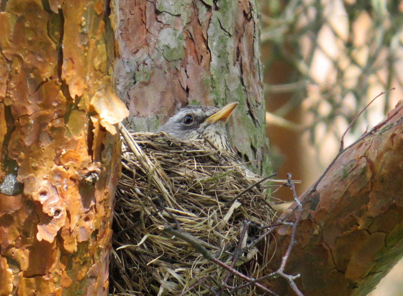 Valokuvaaja: Jaana Talvinen