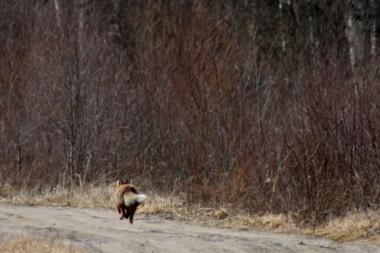 Valokuvaaja: Pirkko Siukonen
