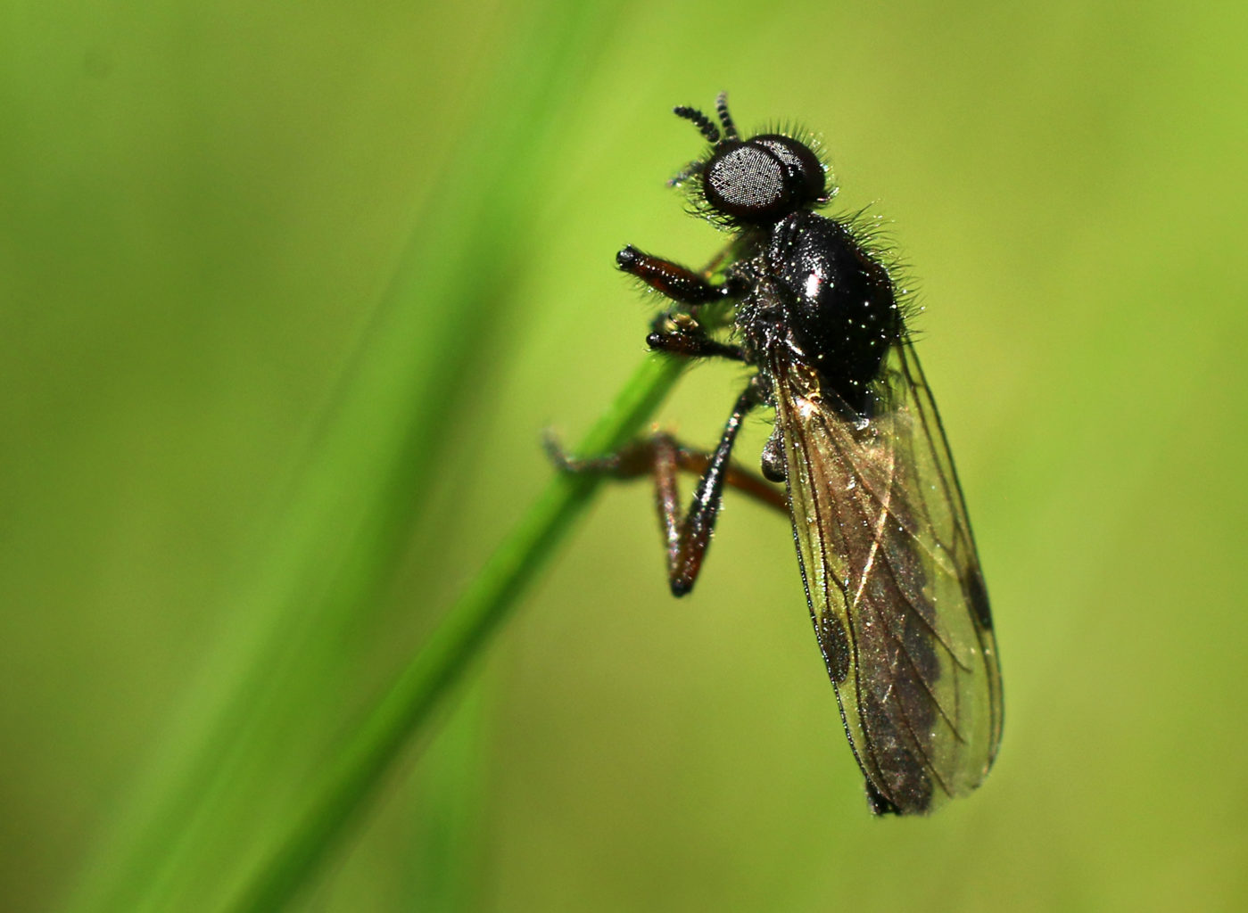 Valokuvaaja: Tarja Porkkala