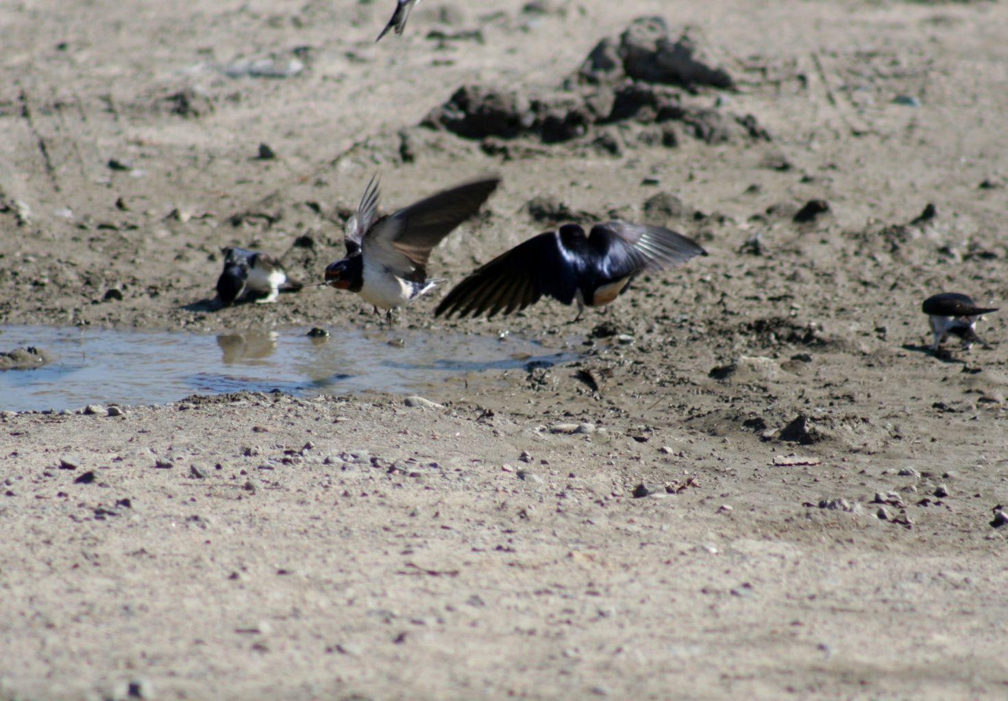 Valokuvaaja: Pirkko Siukonen