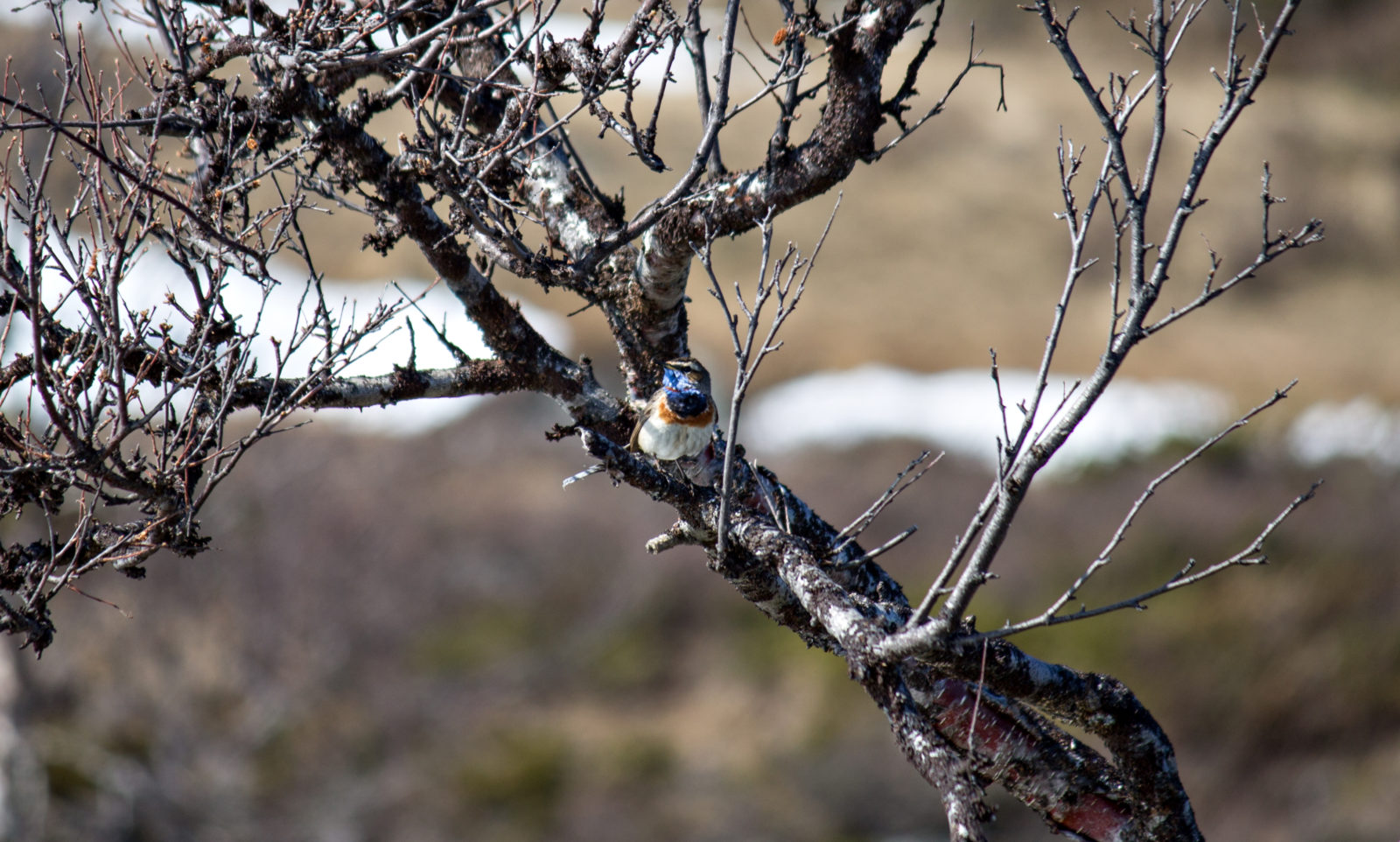Valokuvaaja: Katri Niskanen