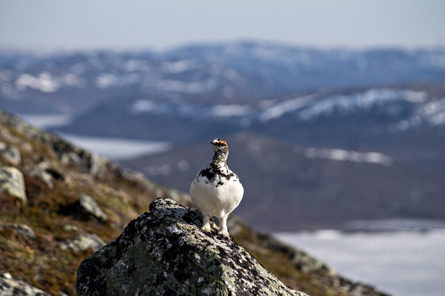 Valokuvaaja: Katri Niskanen