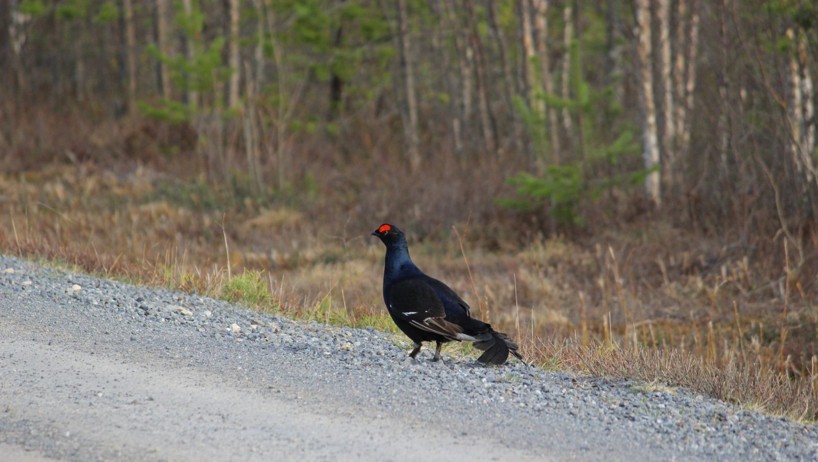 Valokuvaaja: Sinikka Kujala