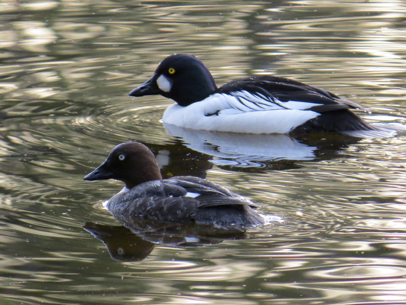 Valokuvaaja: Jaana Talvinen