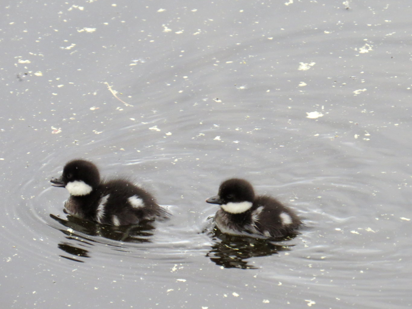 Valokuvaaja: Jaana Talvinen