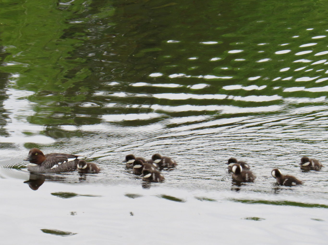 Valokuvaaja: Jaana Talvinen