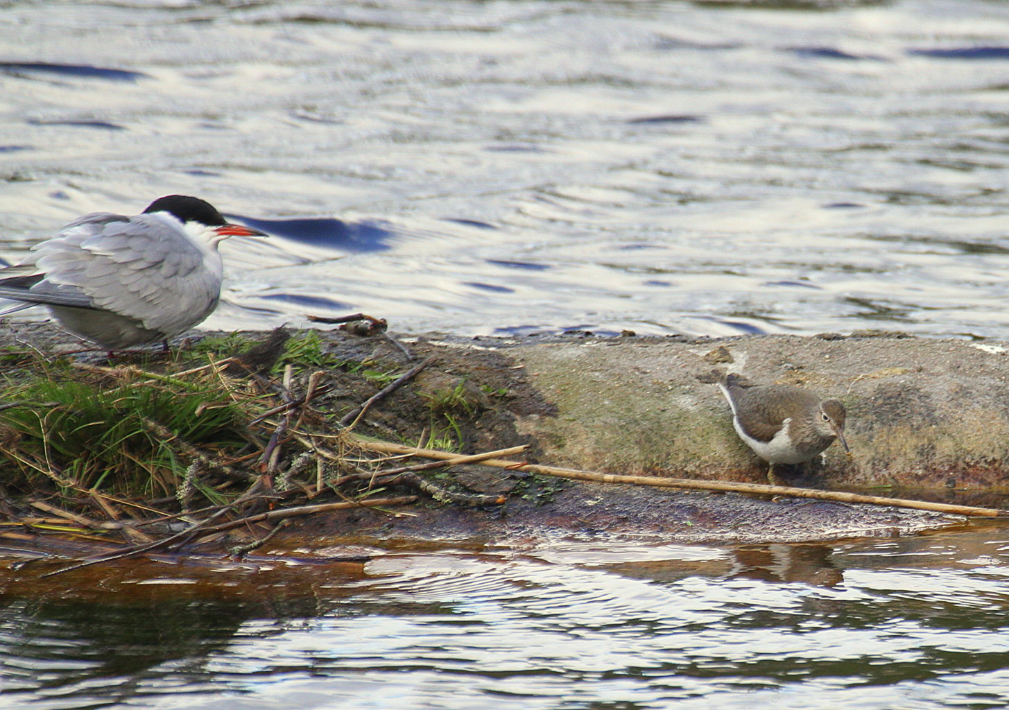 Valokuvaaja: Sirpa Jyske