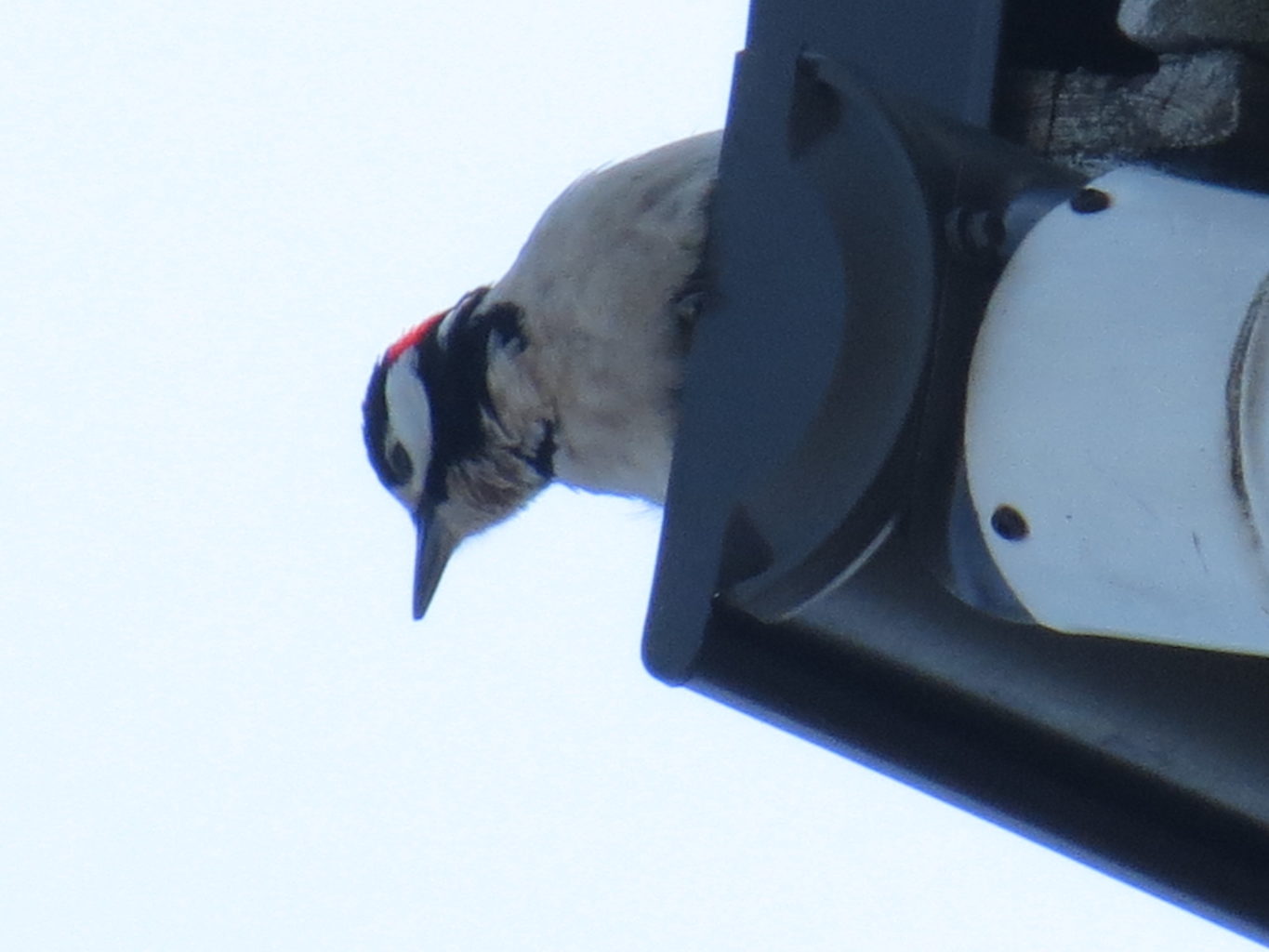 Valokuvaaja: Jukka Rönkä