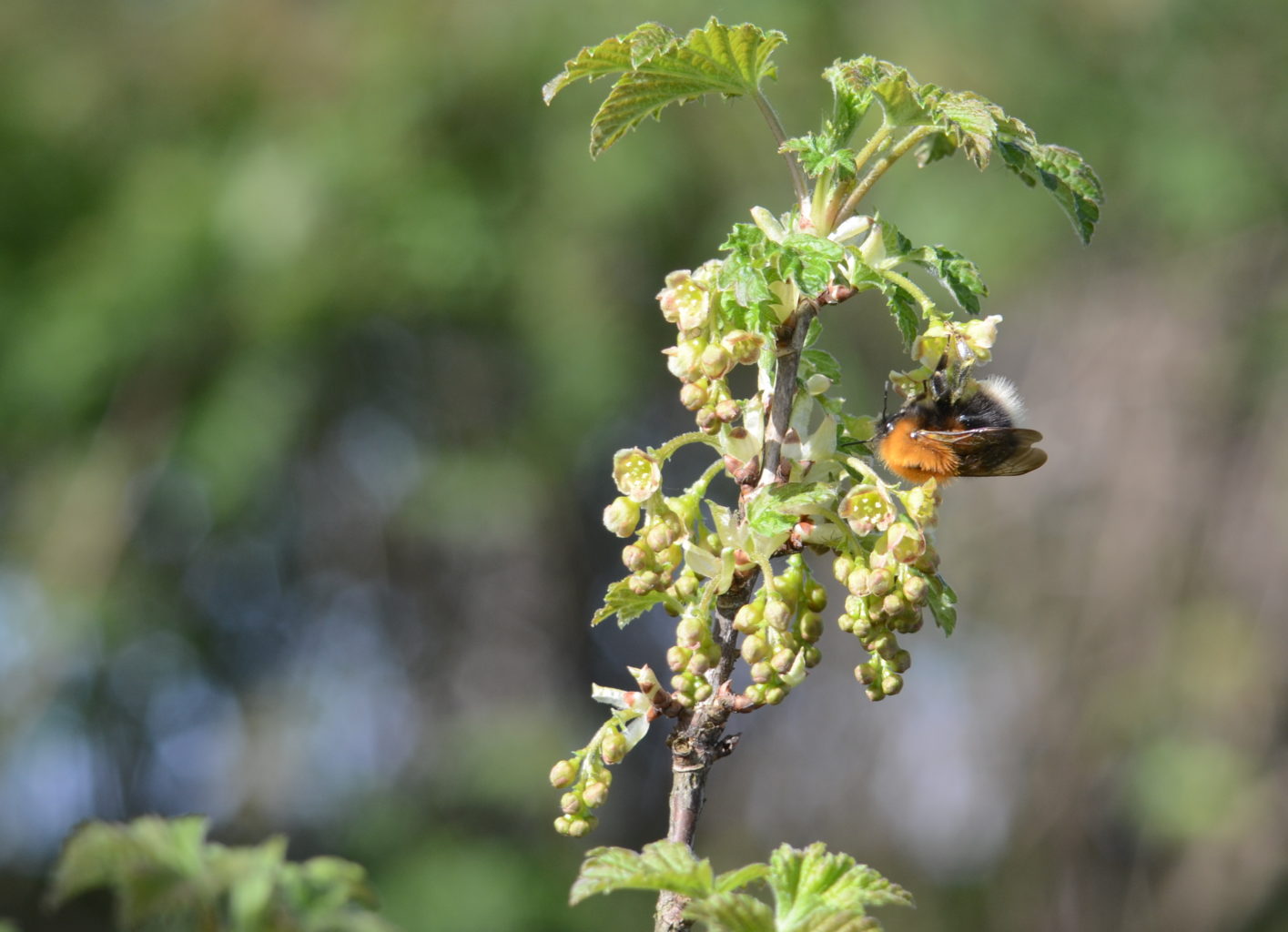 Valokuvaaja: Kalle Asikainen