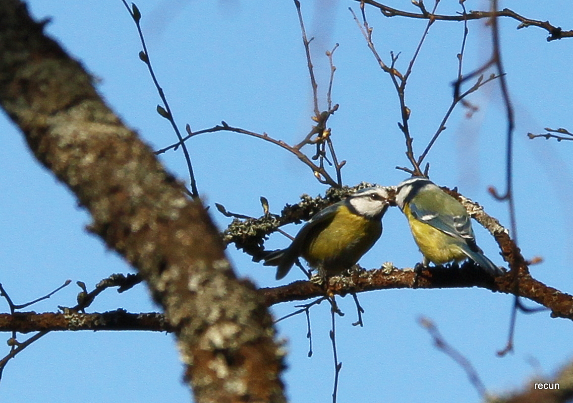Valokuvaaja: reijo lehtonen