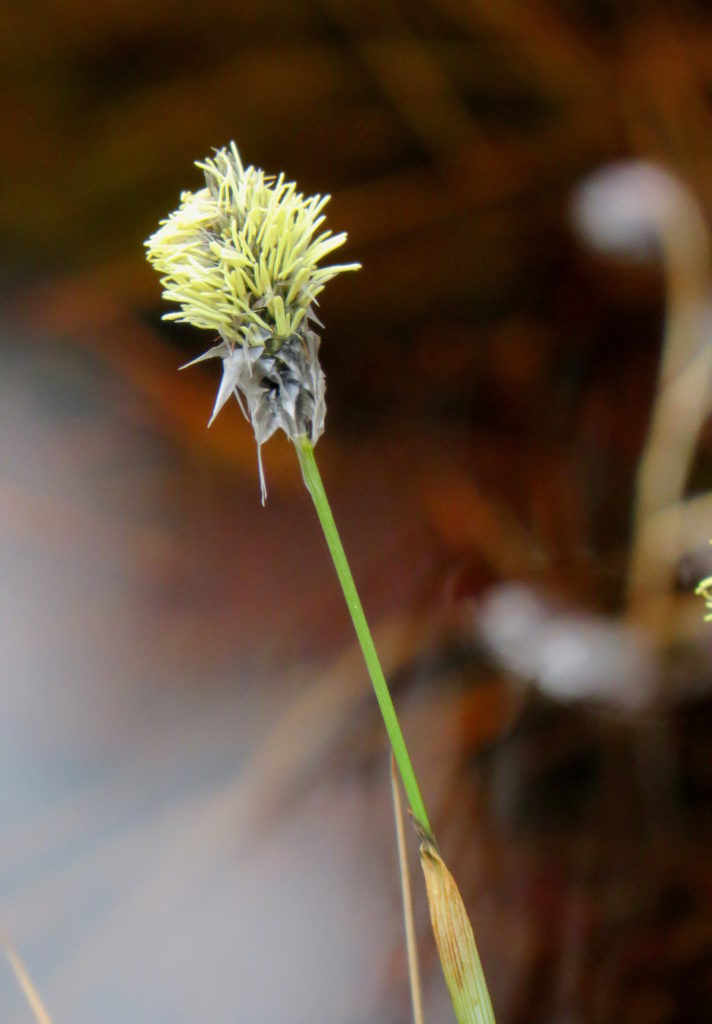 Valokuvaaja: Jaana Talvinen Valokuvaaja: Jaana Talvinen