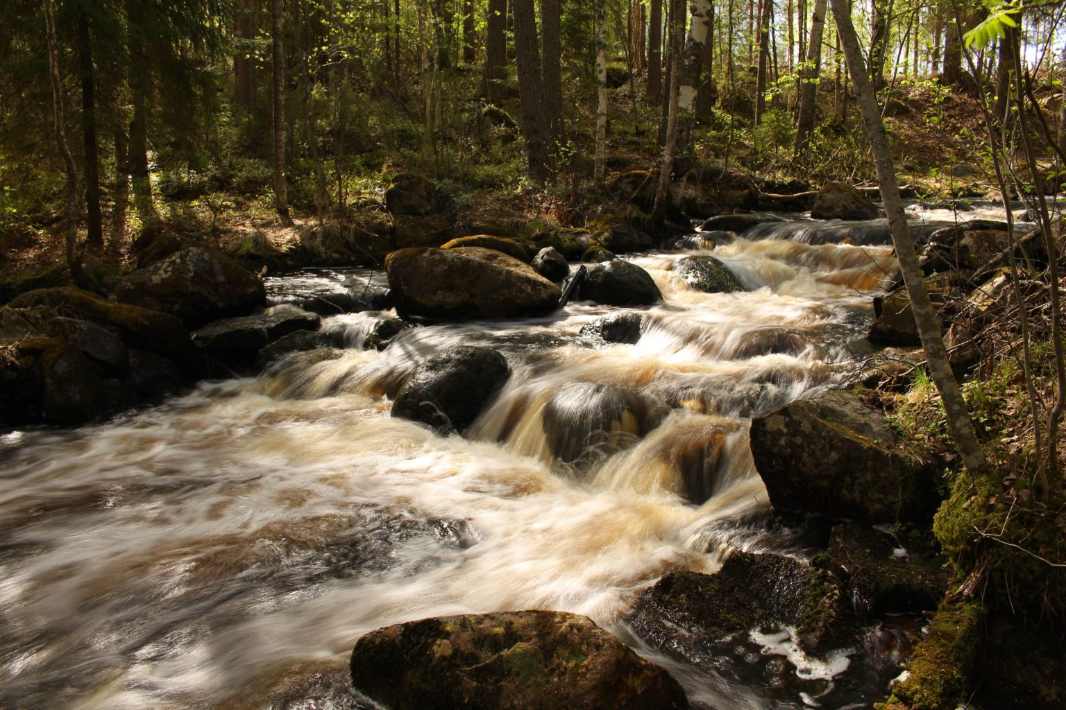 Valokuvaaja: Aimo Räty