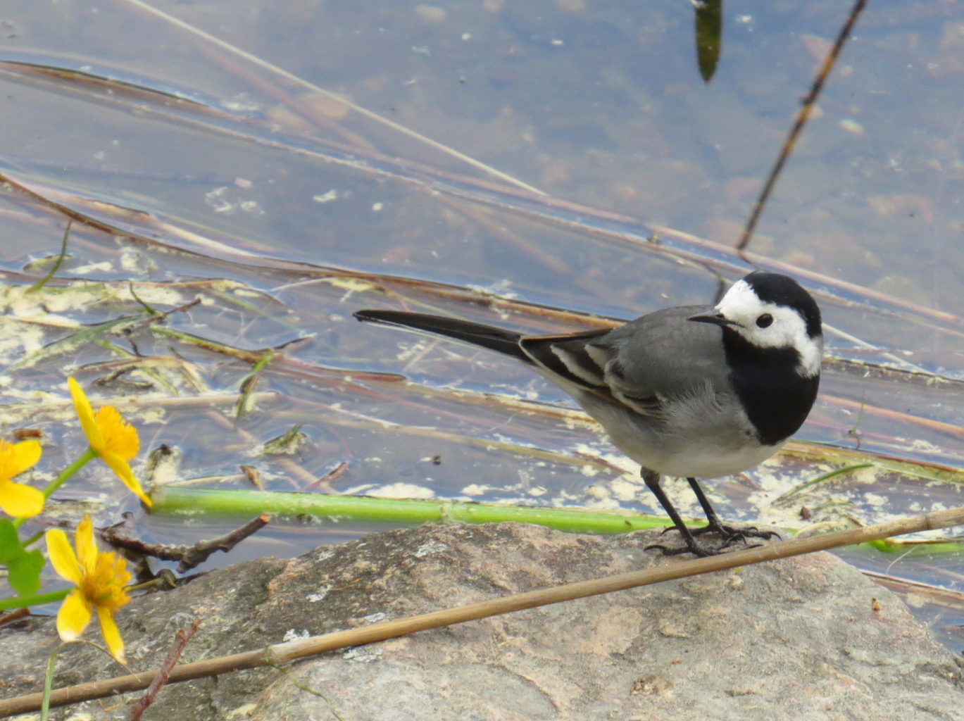 Valokuvaaja: Jaana Talvinen