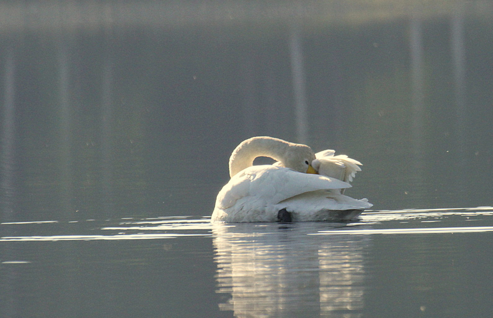Valokuvaaja: Sirpa Jyske