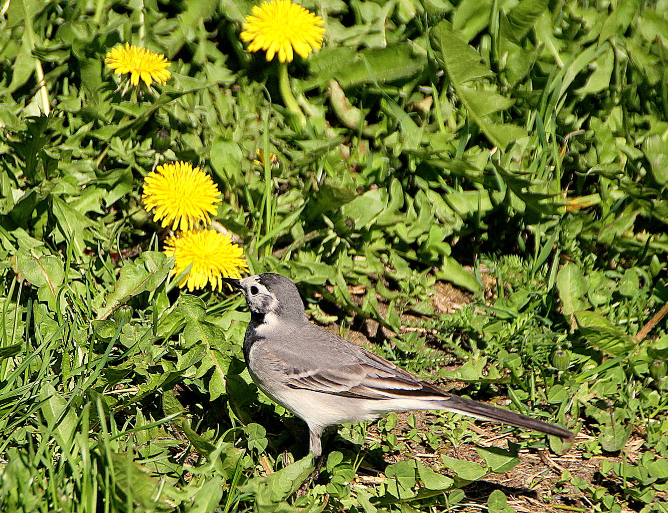 Valokuvaaja: Sirpa Jyske