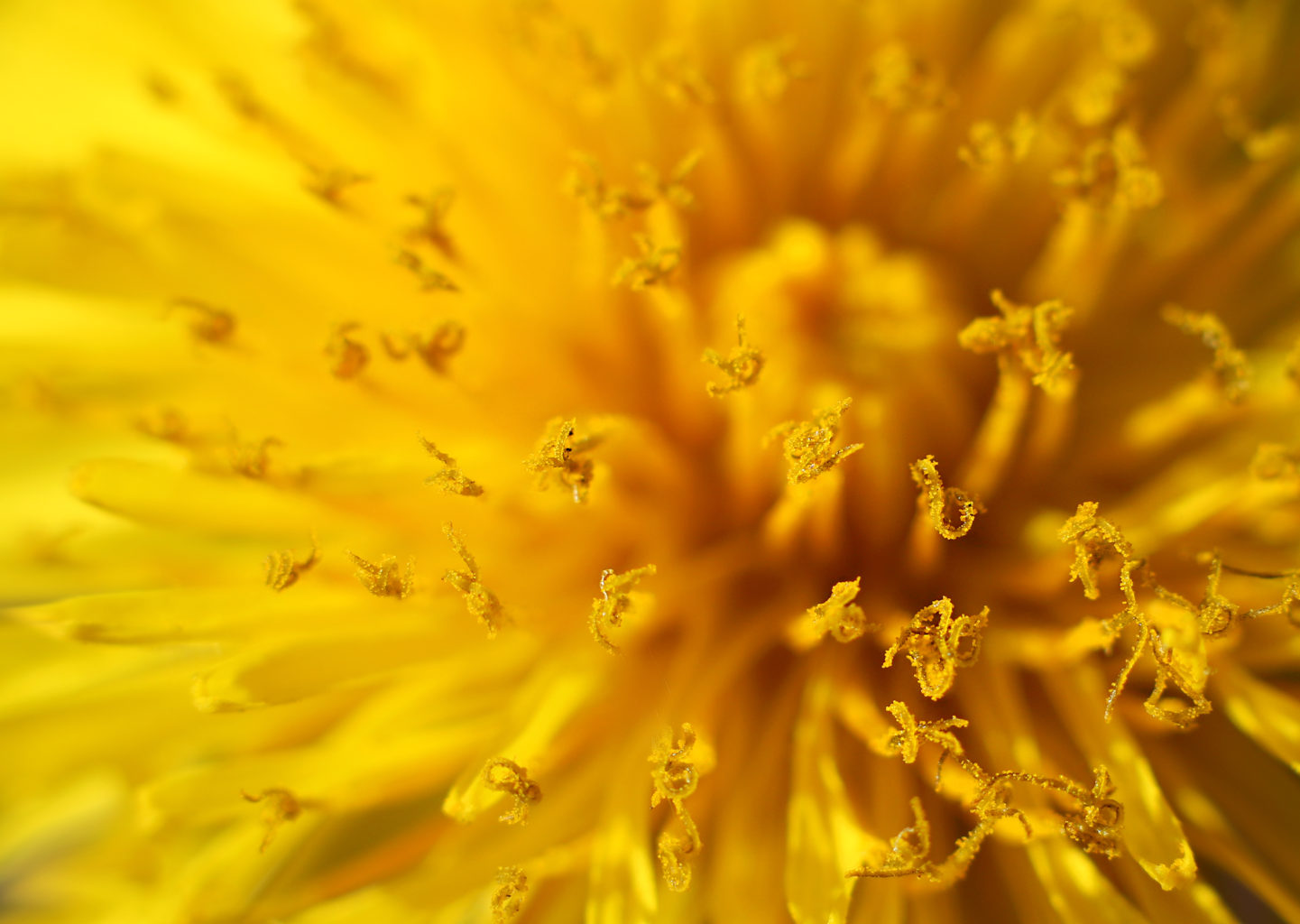 Valokuvaaja: Tarja Porkkala