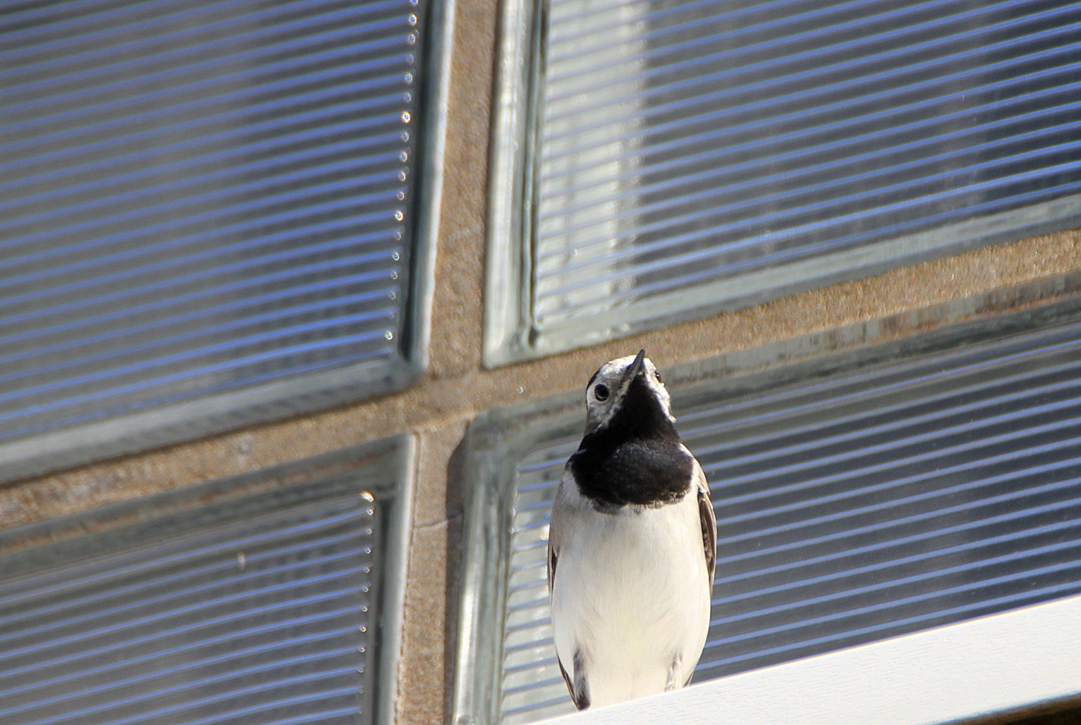 Valokuvaaja: Sirpa Jyske