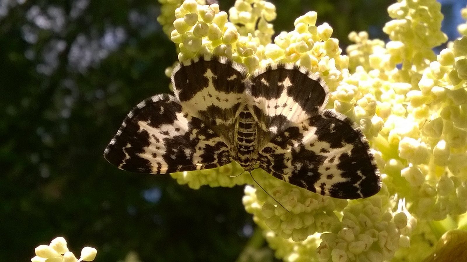 Valokuvaaja: Eija Johanna Saastamoinen