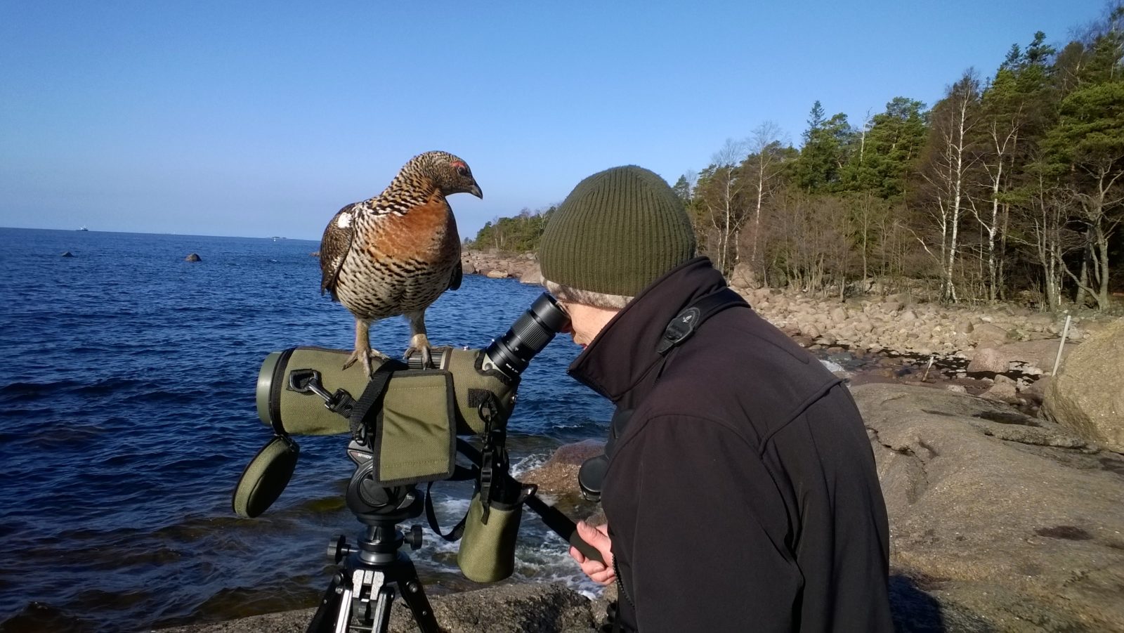 Valokuvaaja: Jari Lehtinen