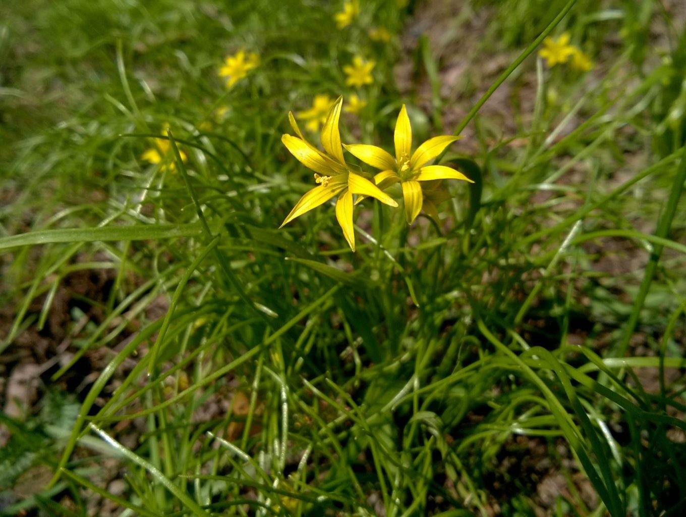 Valokuvaaja: PIRJO RÄISÄNEN