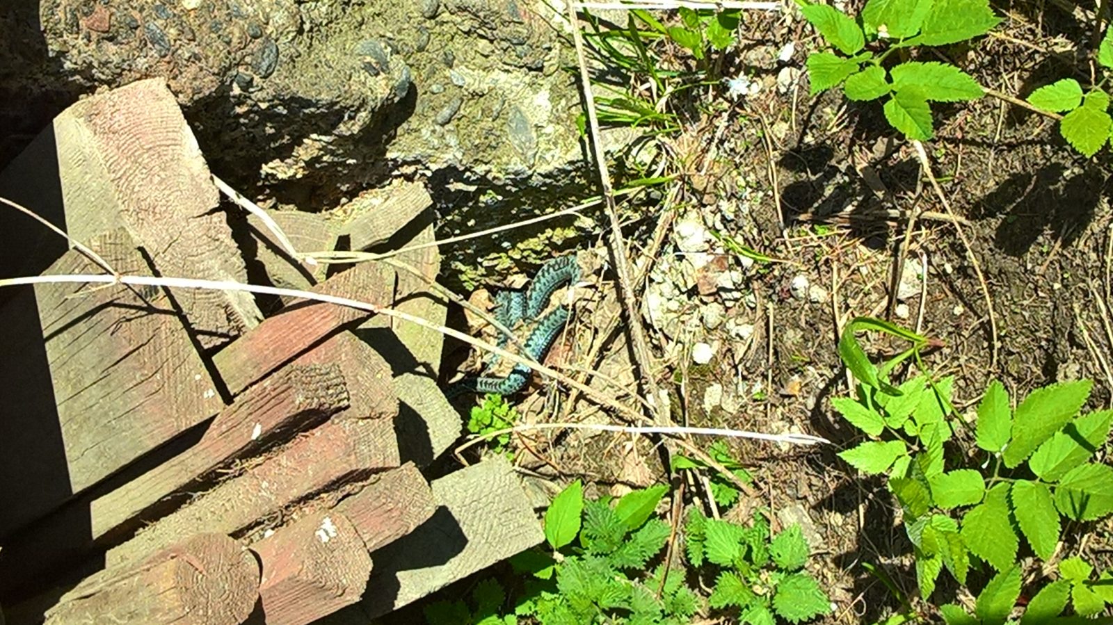 Valokuvaaja: Eija Saastamoinen