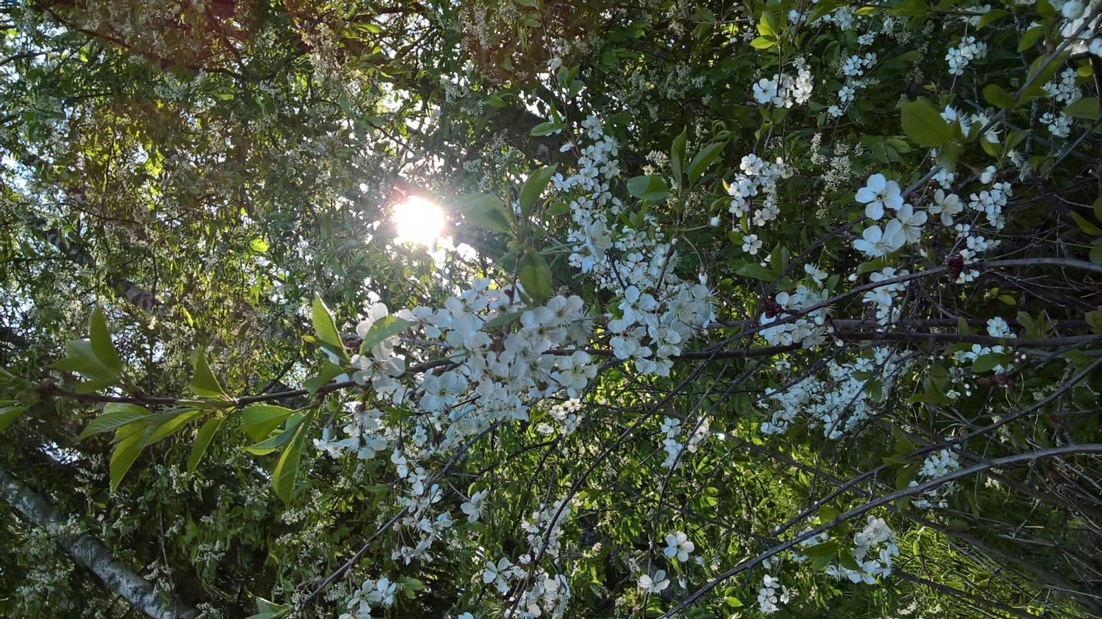 Valokuvaaja: Eija Johanna Saastamoinen