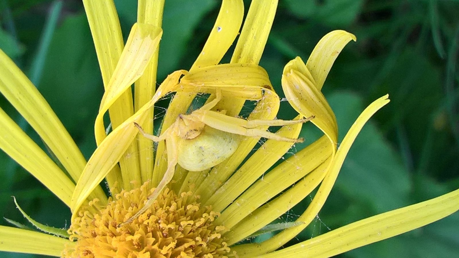 Valokuvaaja: Eija Johanna Saastamoinen