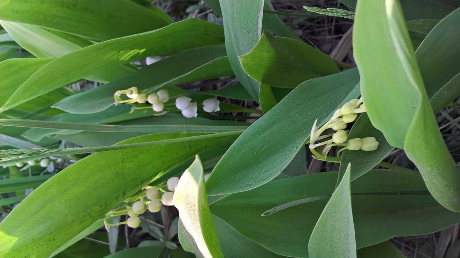 Valokuvaaja: Eija Johanna Saastamoinen