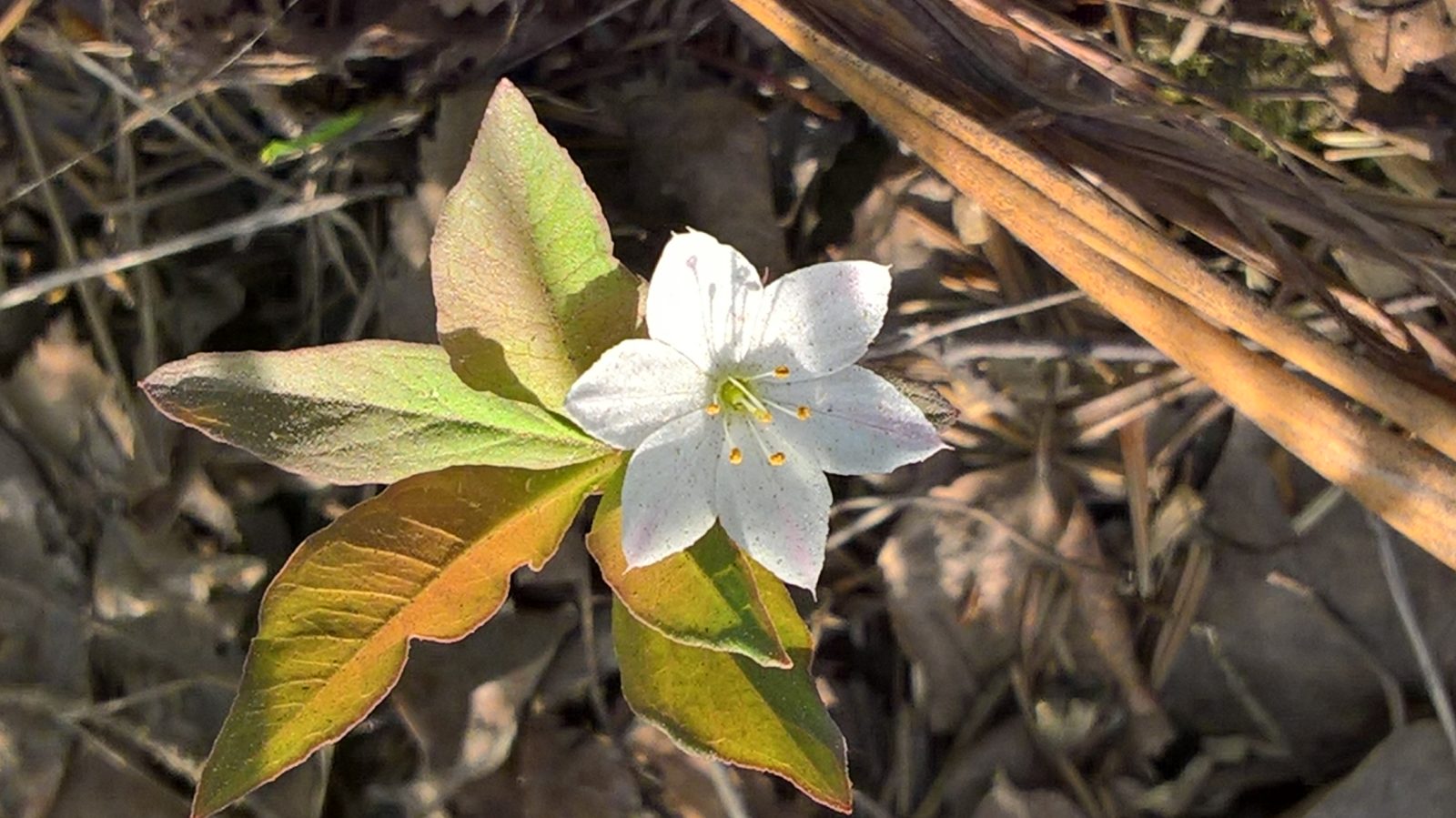 Valokuvaaja: Eija Johanna Saastamoinen
