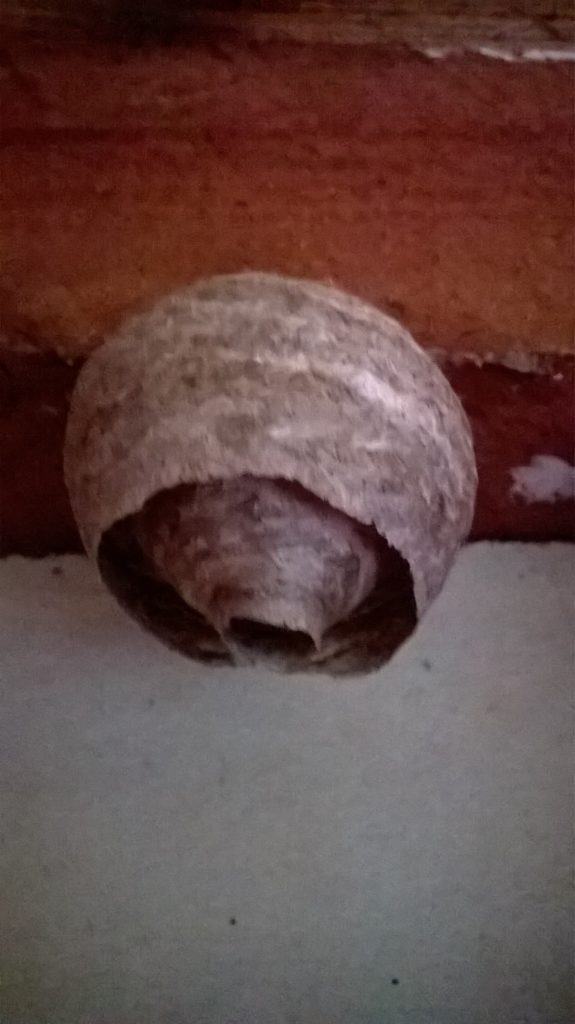 Valokuvaaja: Eija Johanna Saastamoinen