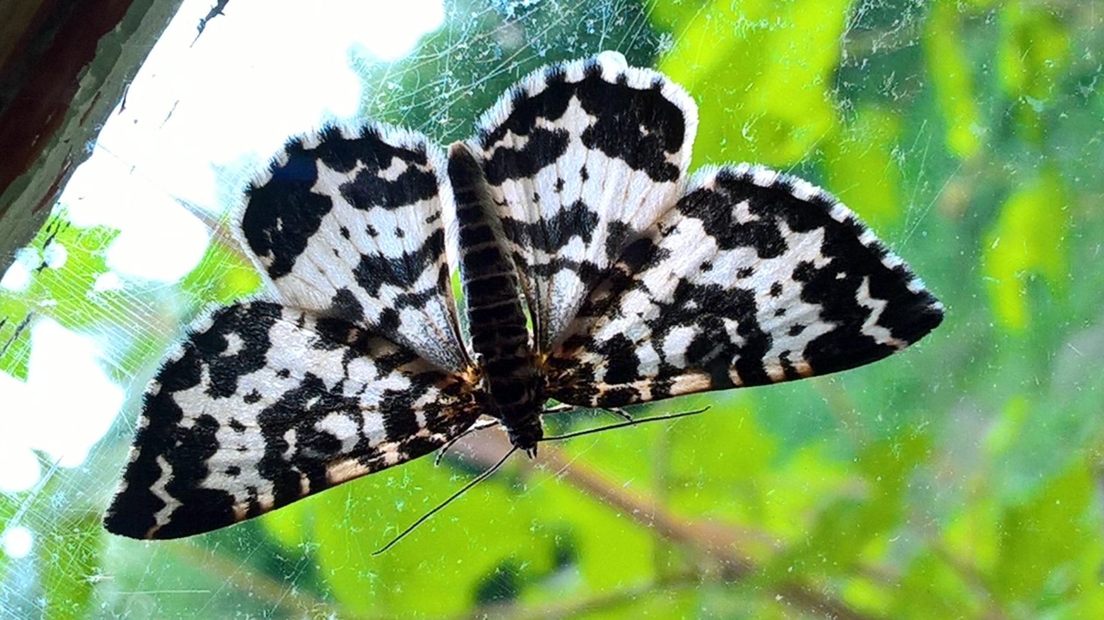 Valokuvaaja: Eija Johanna Saastamoinen