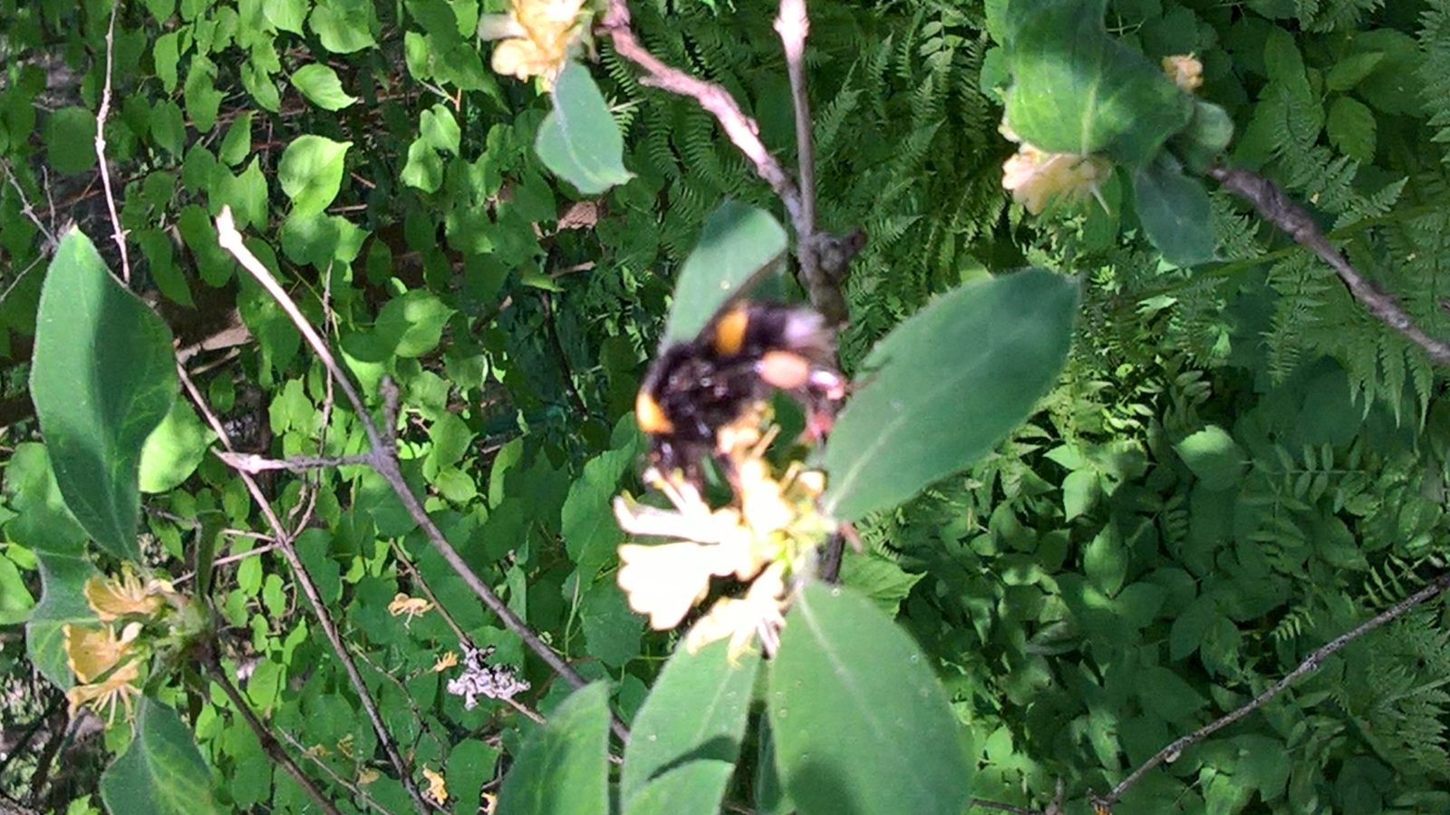 Valokuvaaja: Eija Johanna Saastamoinen