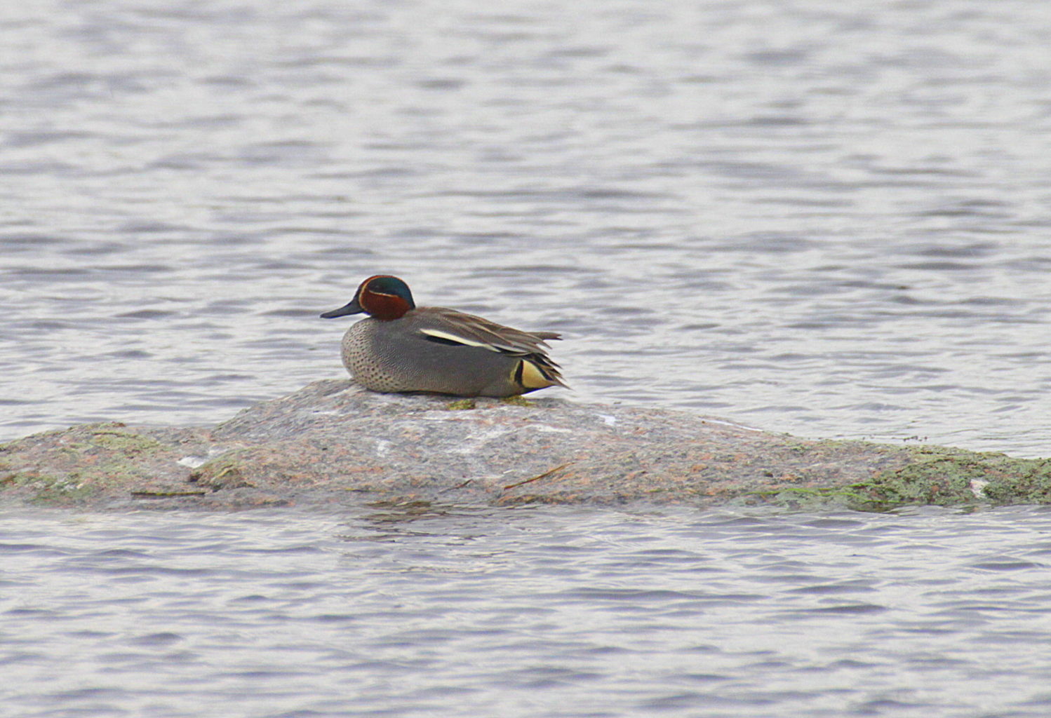 Valokuvaaja: Sirpa Jyske