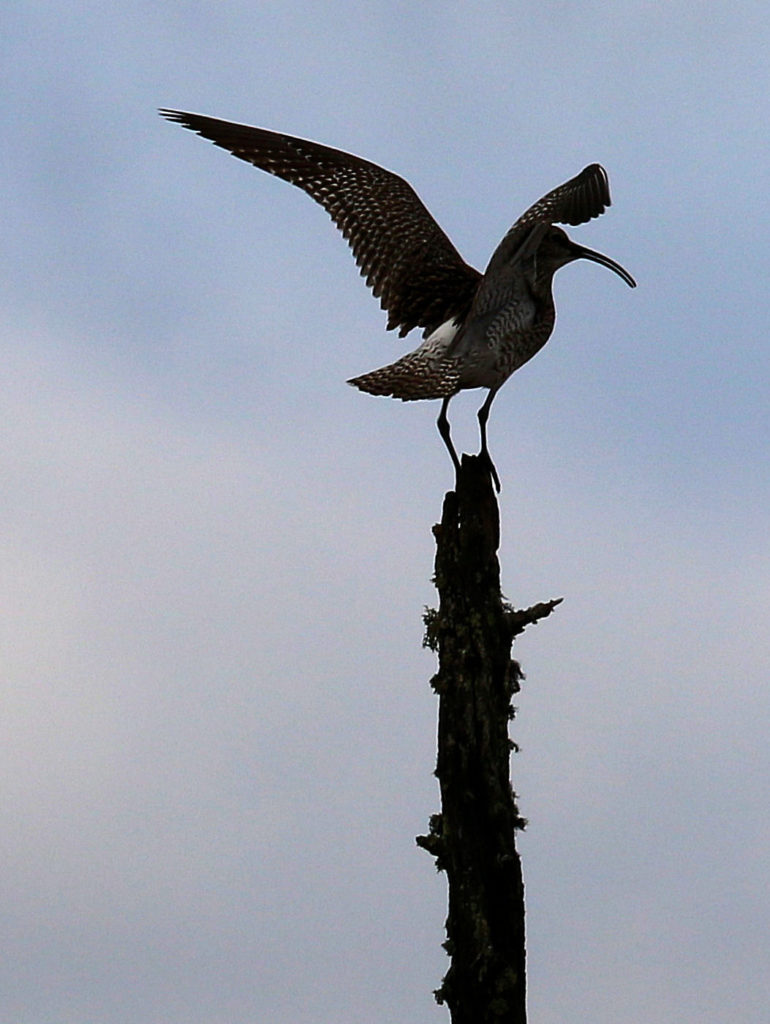 Valokuvaaja: Ahti  Keränen