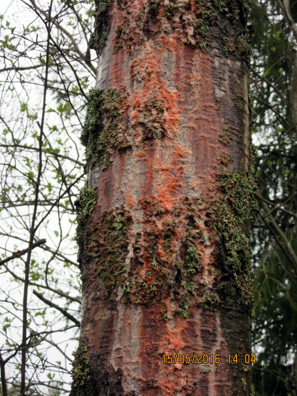 Valokuvaaja: Seija Laitala