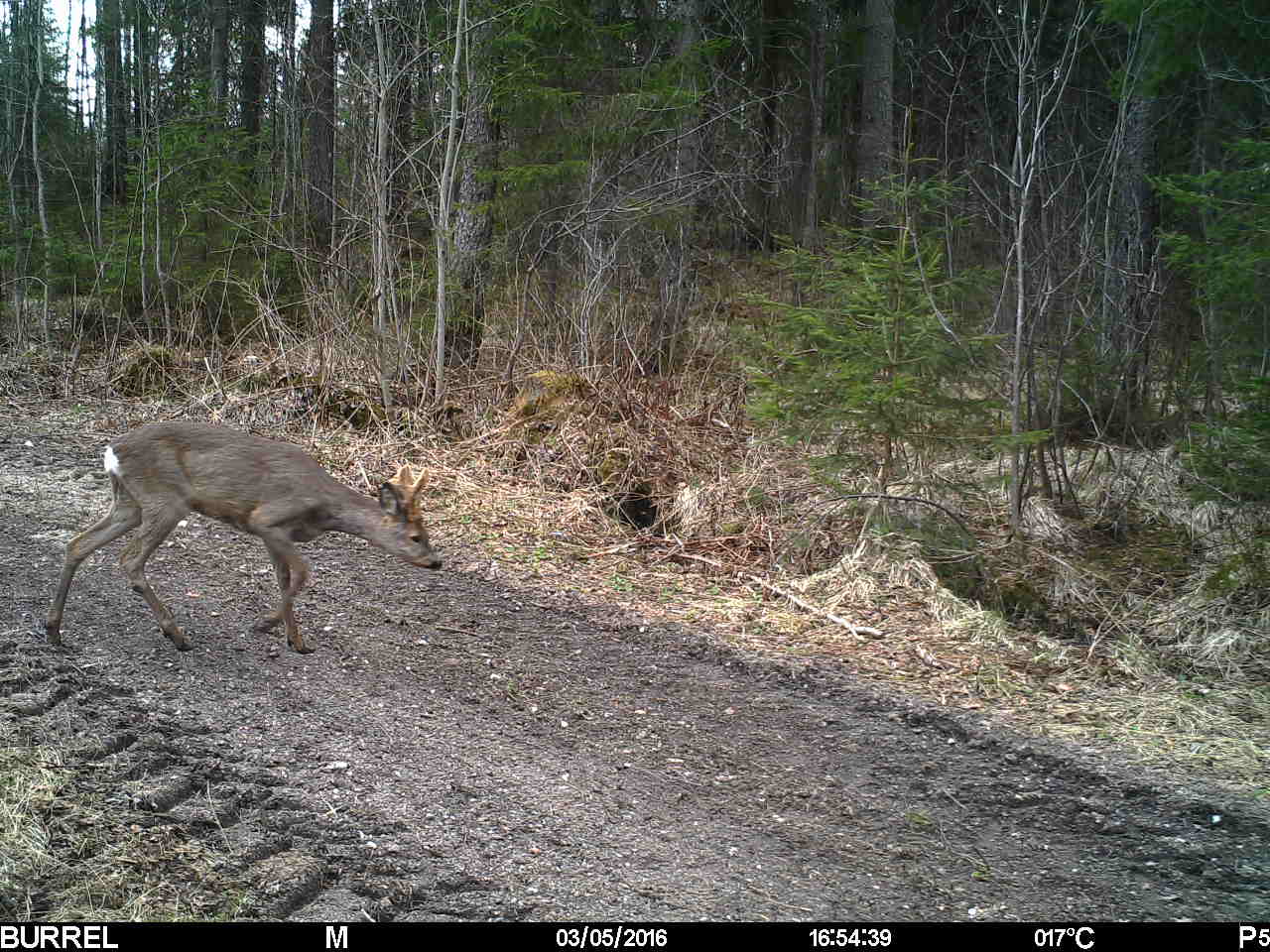 Valokuvaaja: Hannu Rissanen