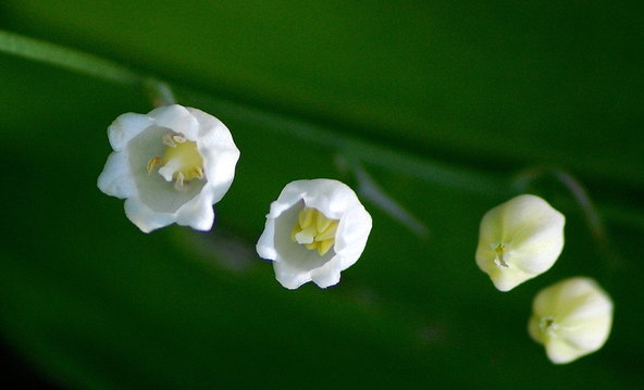 Valokuvaaja: Eija Varjola