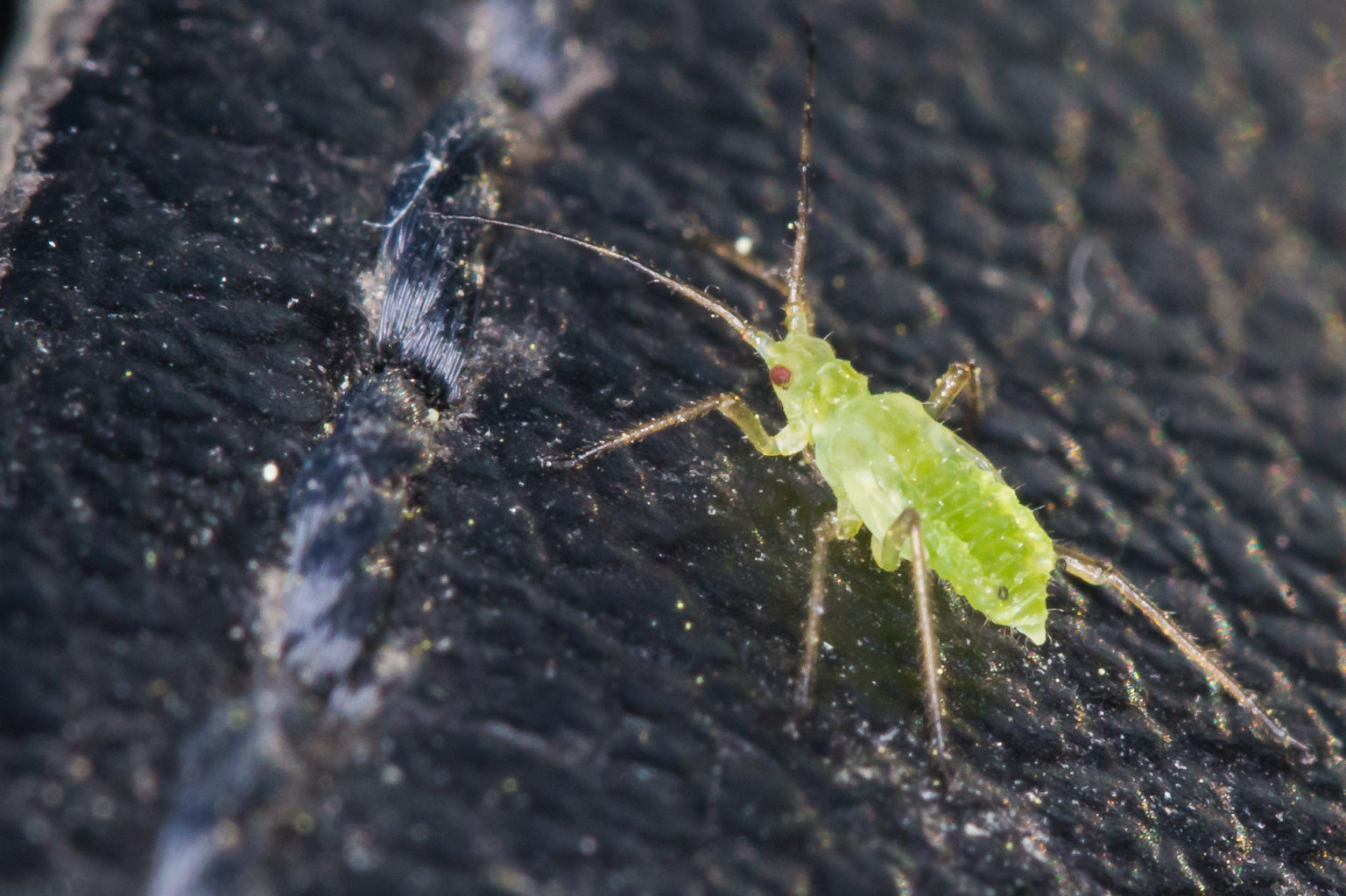 Valokuvaaja: Timo Saarinen