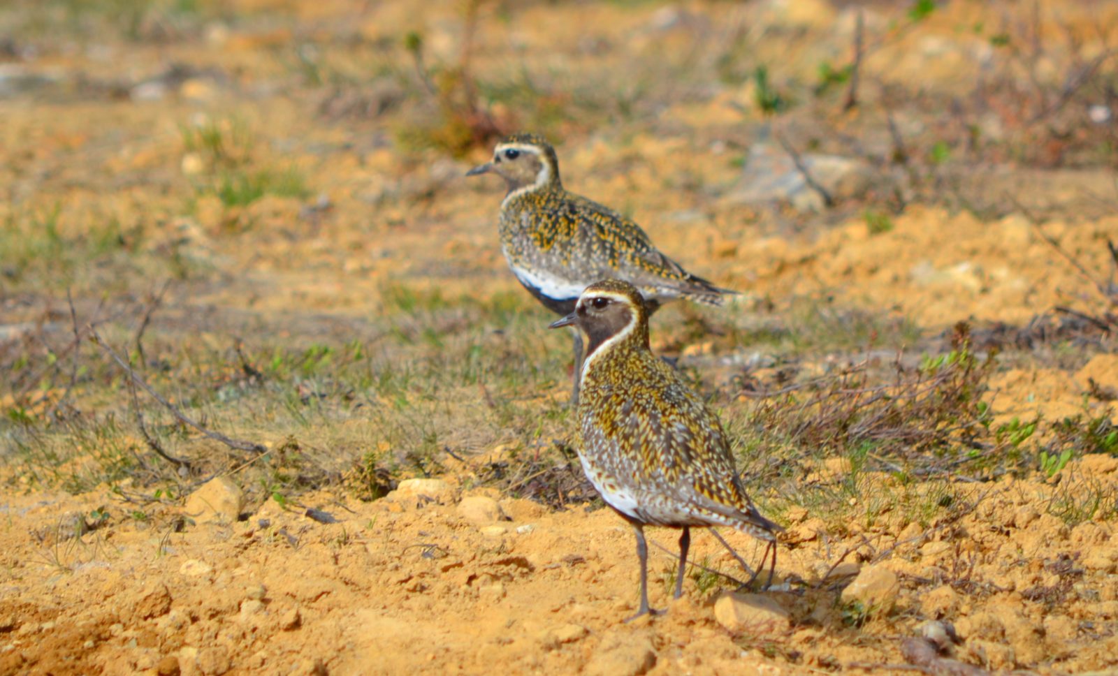 Valokuvaaja: Leena Rissanen