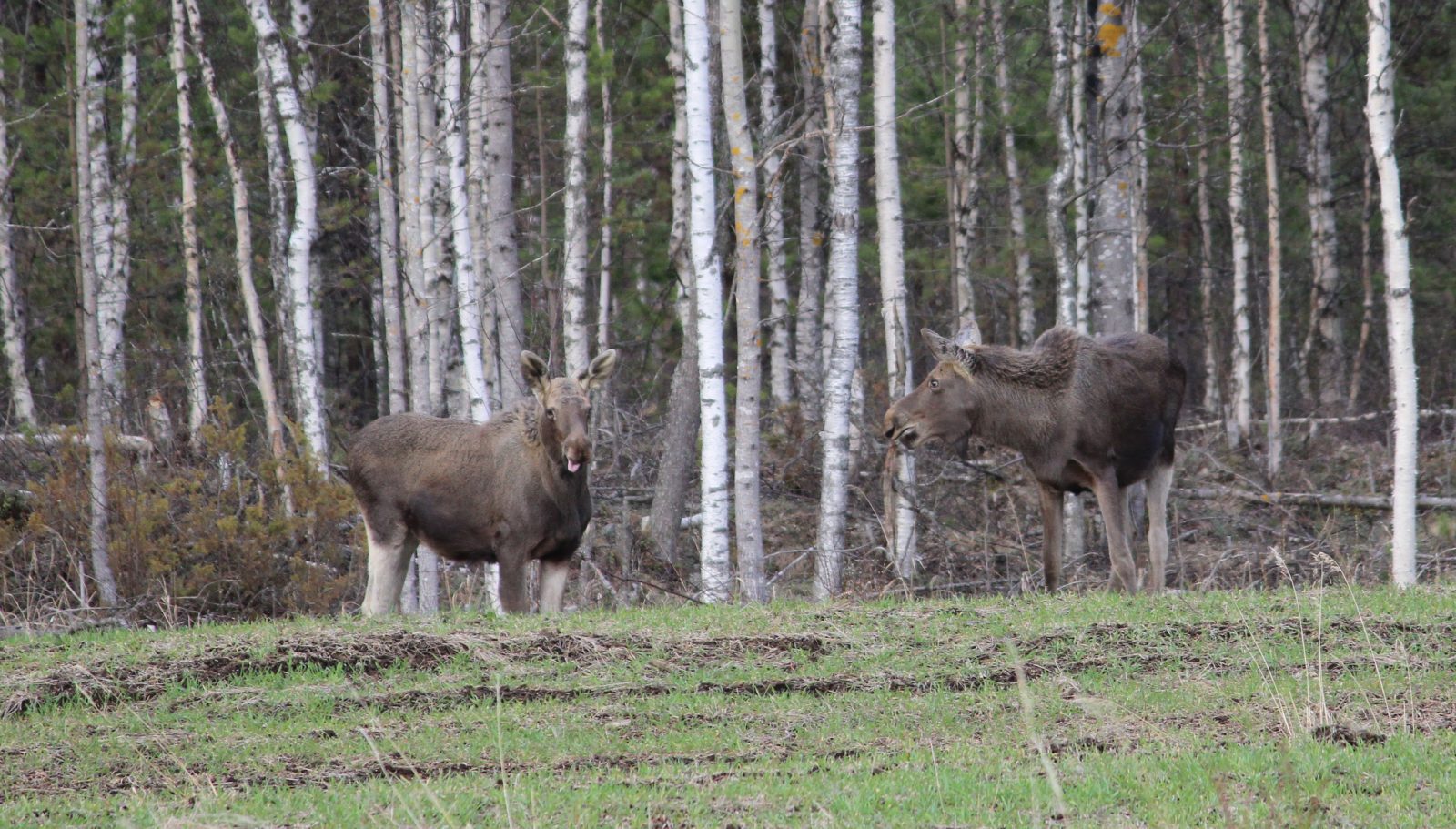 Valokuvaaja: Sinikka Kujala