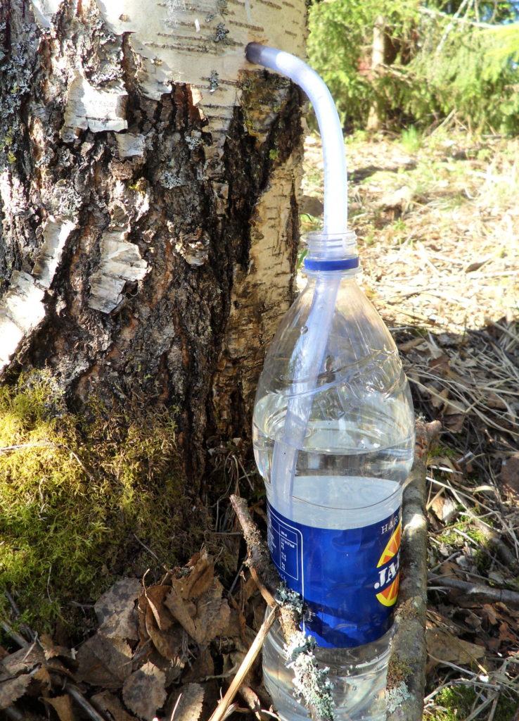 Valokuvaaja: Kalle Asikainen